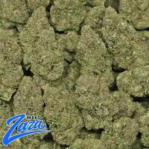 Runtz OG Strain - 2