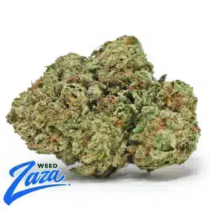 Sour Candy Strain - 1