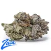 Blueberry DLG Strain - 1