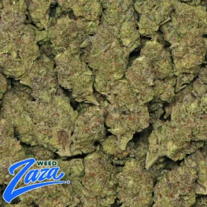 Ice Strain - 2