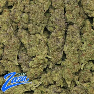 Lava Strain - 2