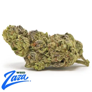 Lava Strain - 1