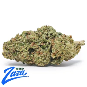 Lemonatti Strain - 1