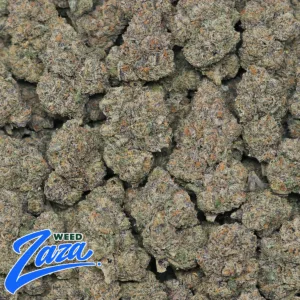 Purple Cherry Strain - 2
