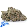 Purple Cherry Strain - 1