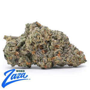 Purple Cherry Strain - 1