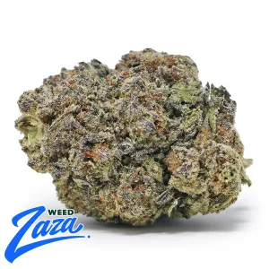 Tres Leches Strain - 1