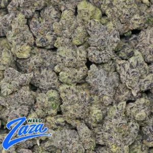 White Caviar Strain - 2