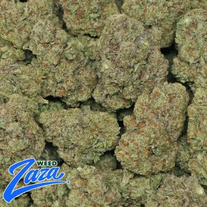 White Truffle Strain - 2