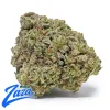 White Truffle Strain - 1