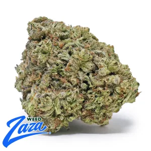 White Truffle Strain - 1
