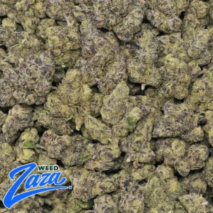 Blueberry Caviar Strain - 2
