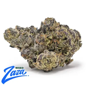 Blueberry Caviar Strain - 1