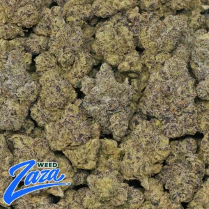 Blue GSC Strain - 2