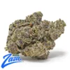 Blue GSC Strain - 1