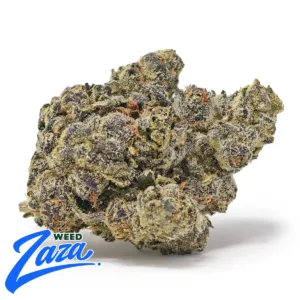 Blue GSC Strain - 1