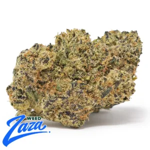Cherry Blast Strain - 1
