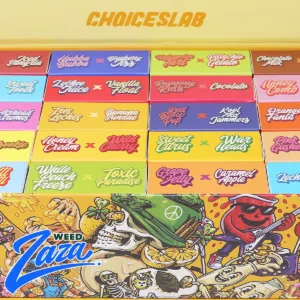 Choice Lab Dispo (2g) - 1
