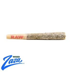 frydpreroll