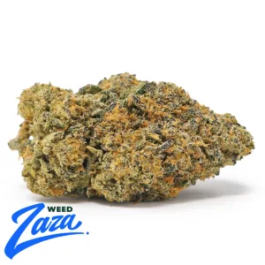 Gelato 41 Strain - 1