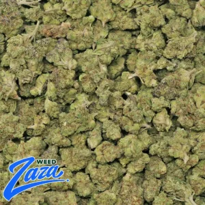 Gelato 'Smalls' Strain - 2