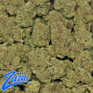 Italian Cream Strain - 2