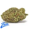 Italian Cream Strain - 1