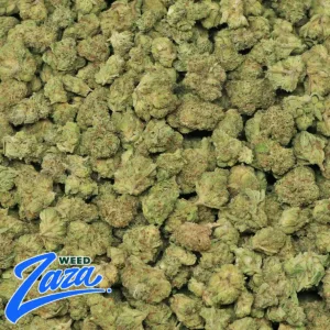 Italian Cream 'Smalls' Strain - 2