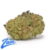 Italian Cream 'Smalls' Strain - 1