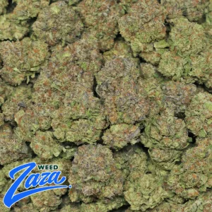 Italian Ice Strain - 2