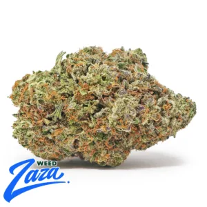 Italian Ice Strain - 1