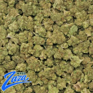 Pink Guava 'Smalls' Strain - 2