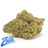 Pink Guava 'Smalls' Strain - 1