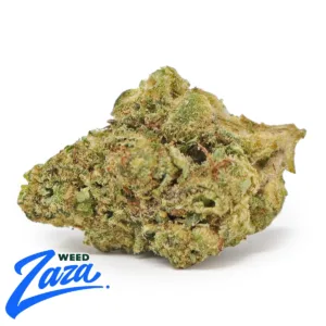 Pink Guava 'Smalls' Strain - 1