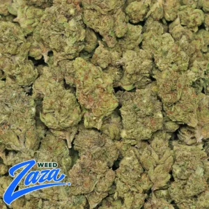 Purple Punch Strain - 2