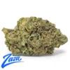 Purple Punch Strain - 1