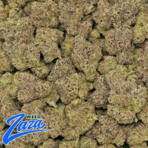 Rainbow Beltz Strain - 2