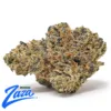 Rainbow Beltz Strain - 1