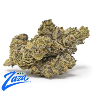 Razzle Dazzle Strain - 1