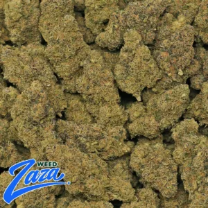 Top Shelf Jack Herer Strain - 2