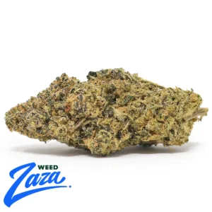 Top Shelf Jack Herer Strain - 1